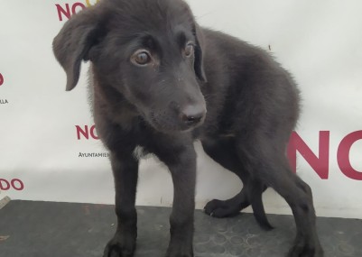 1d774fc297c1b4fa12865ce115a1aad5.jpg
