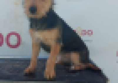 _3e6fd2365